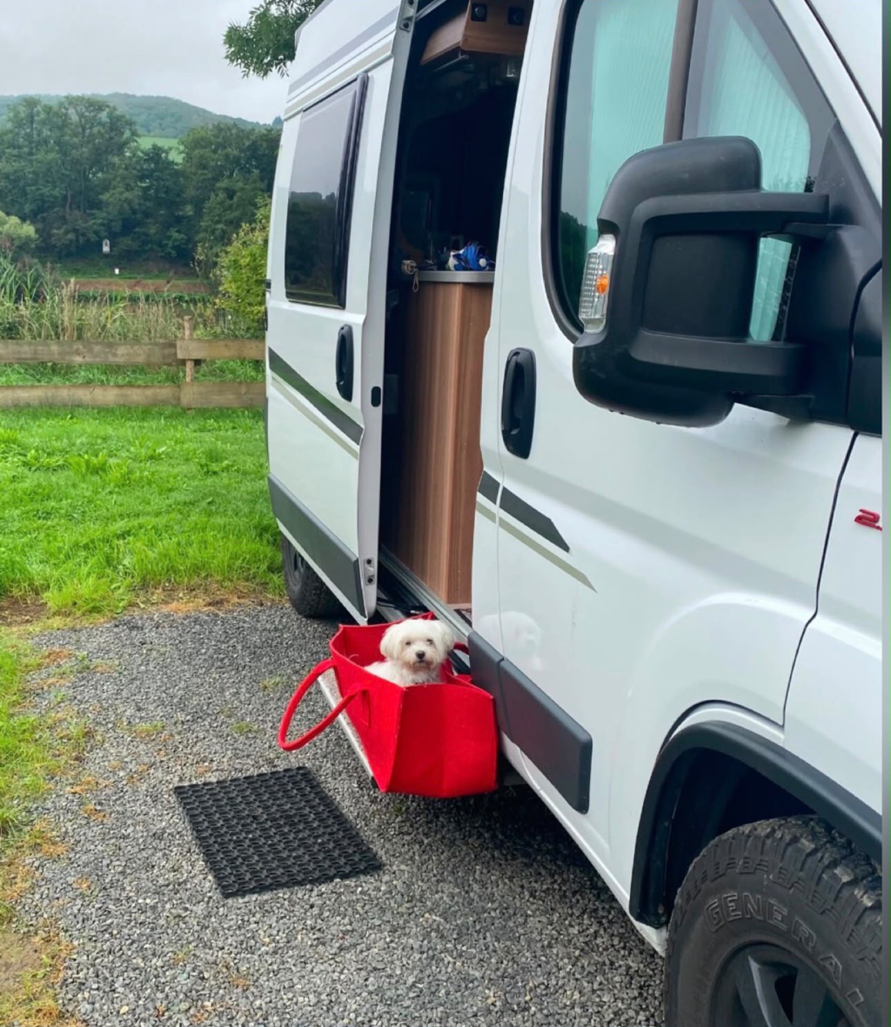 Camper mit Emmy vor der geöffneten Tür